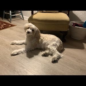 Meet your Posher, Kyrsten